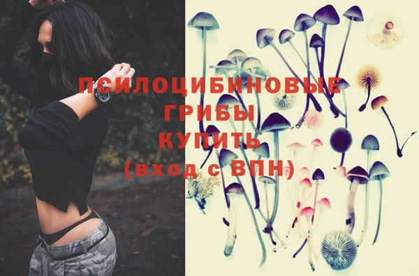круглые Волоколамск