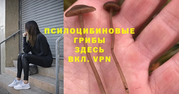 мет Верхний Тагил